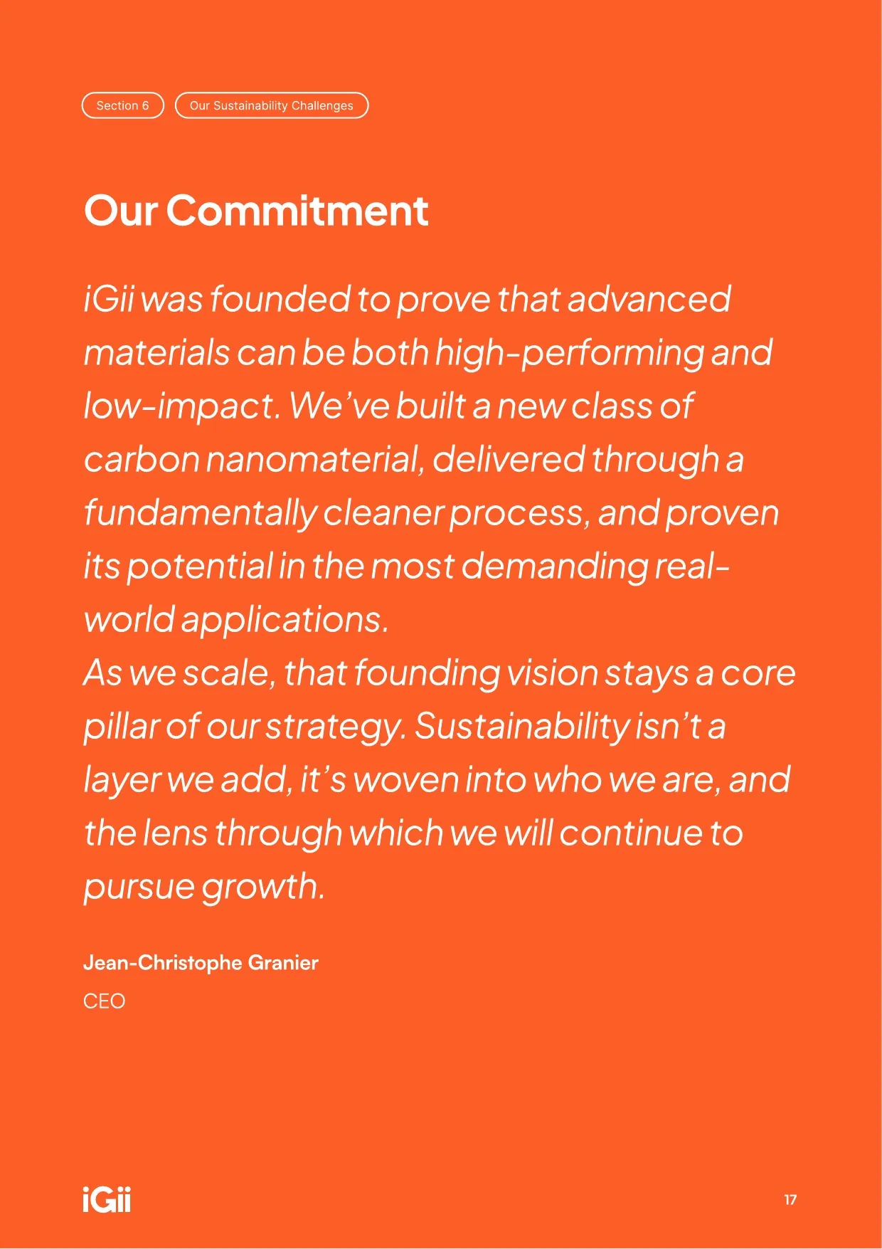 Understanding the Environmental Impact of Gii — page 19 of 20