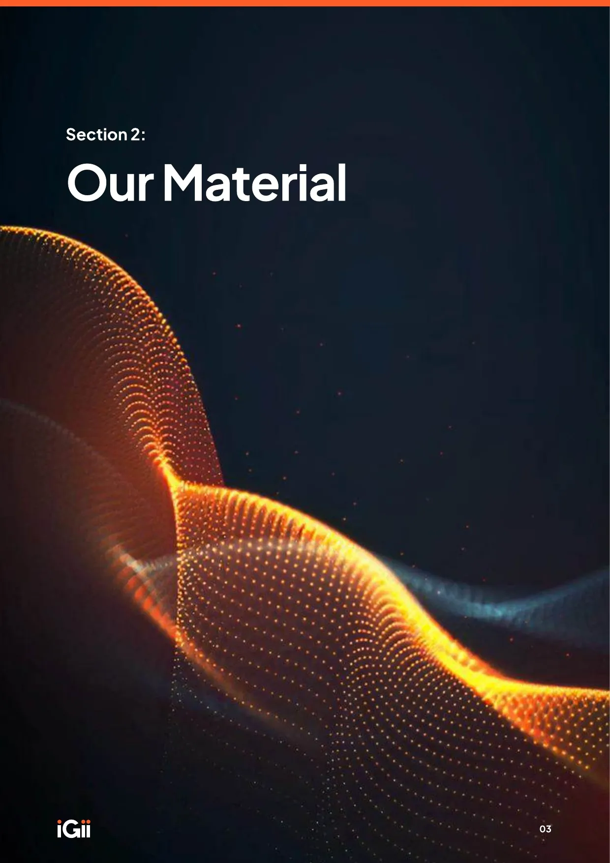 Understanding the Environmental Impact of Gii — page 5 of 20
