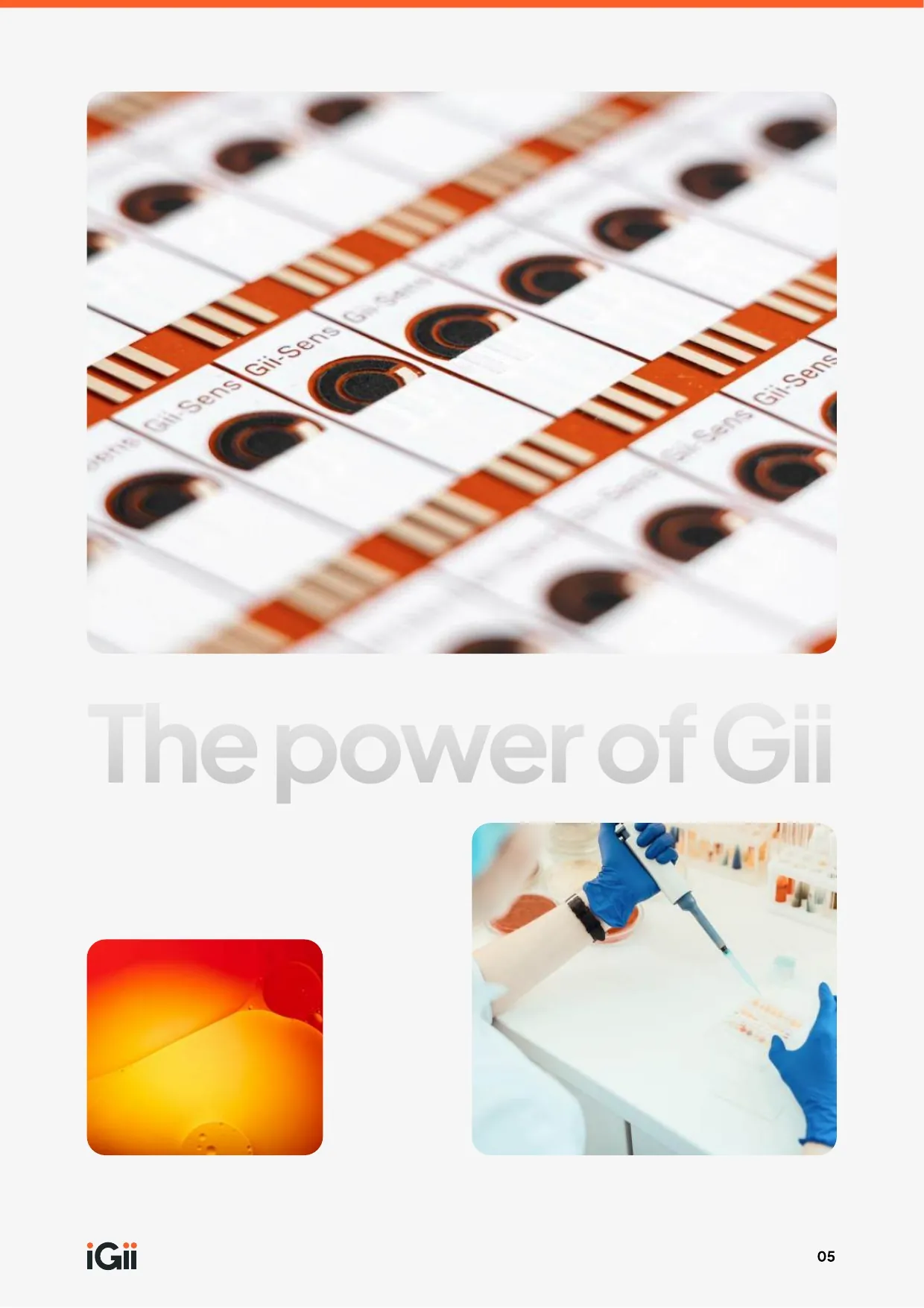 Understanding the Environmental Impact of Gii — page 7 of 20