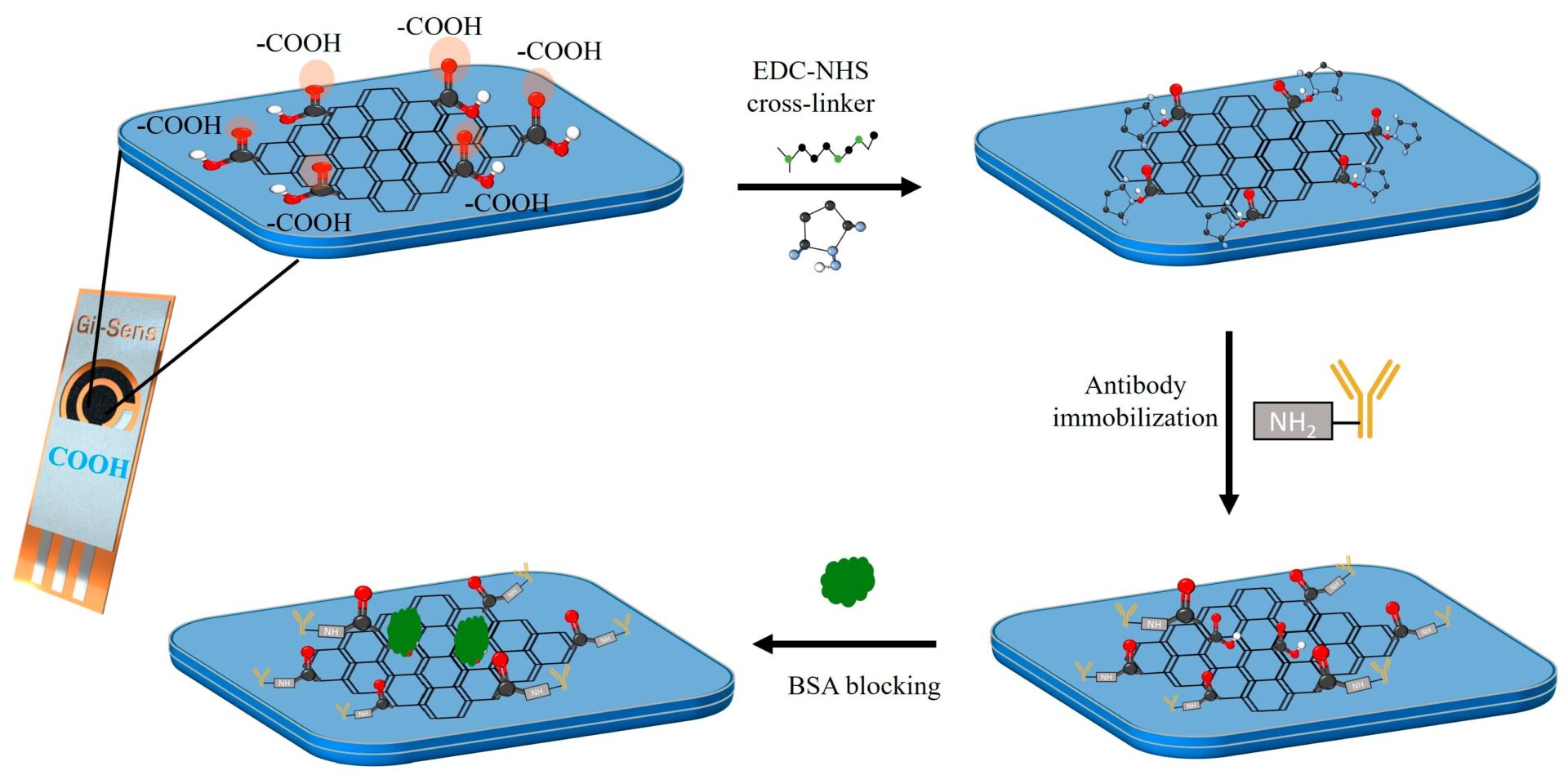 Electrochemical Immunosensor Using COOH-Functionalized 3D Graphene Electrodes for Sensitive Detection of Tau-441 Protein