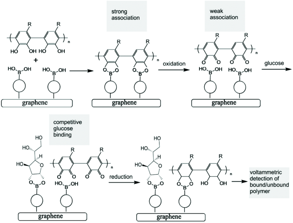 Schematic of the polymer indicator displacement assay process